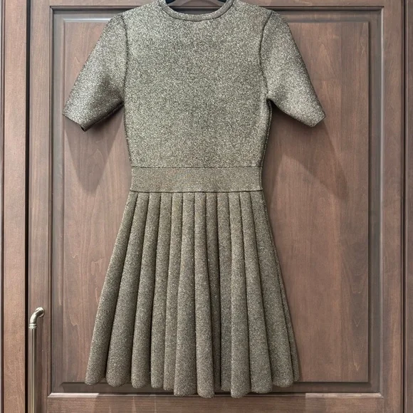 A.L.C. Metallic Susana Dress - Gorgeous!!! - Size S - Picture 4 of 7
